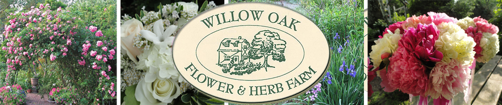 Willow Oak Flower & Herb Farm